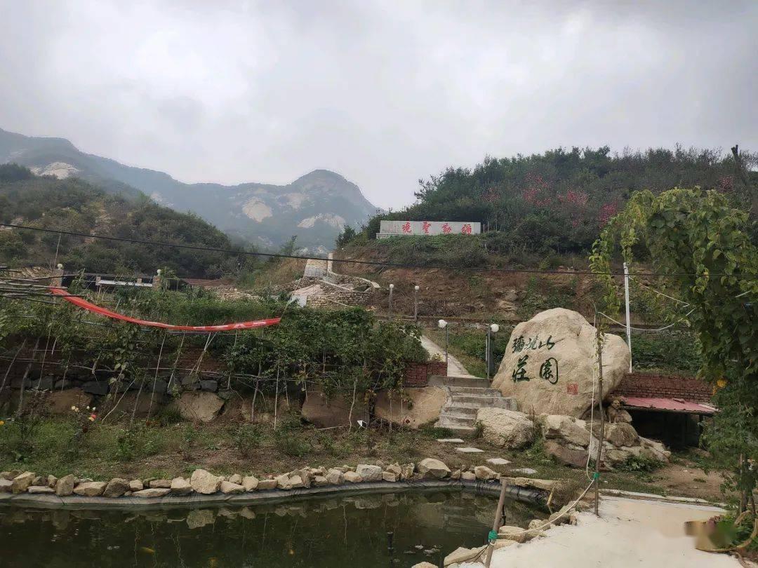 救援小白狼